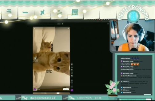 フェイク動画に釣られたTwitchライブの女性配信者, チンコを中継をしてしまう,,