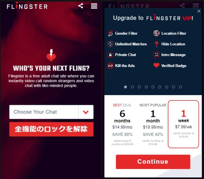 Flingster 使い方