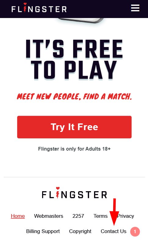 Flingster 解約の仕方