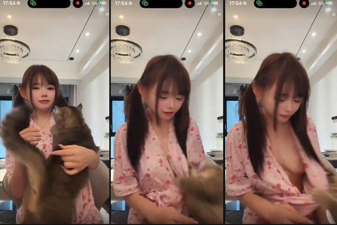 『動画』生配信中のネコ, 飼い主のおっぱいを晒しちゃうwwwwこーゆハプニングの瞬間が最高にエロい